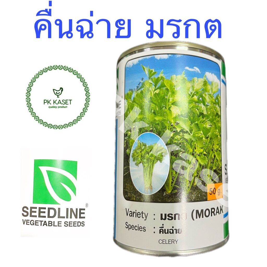 เมล็ดคื่นฉ่าย มรกต ขนาด 50 g ตราซีดไลน์ กระป๋อง ราคา ถูกที่สุด ดีลบีเคเค