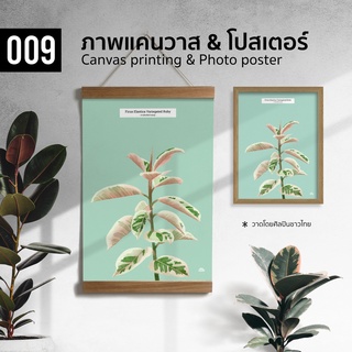 009 ภาพวาดสีน้ำ ยางอินเดียด่างชมพู ภาพพิมพ์ แคนวาส โปสเตอร์ โฟโต้ และสติ๊กเกอร์ PVC