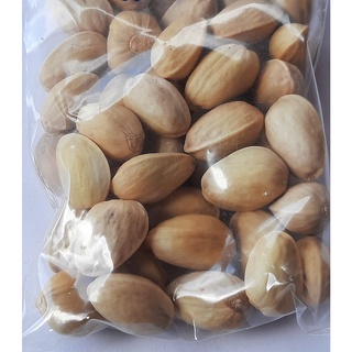 ขายส่ง เมล็ดพิสตาชิโอ pistachio พืชตระกูลถั่ว พืชเศรษฐกิจ ธัญพืช อาหารลดน้ำหนัก คีโต ออแกนิค 50 เมล็ด