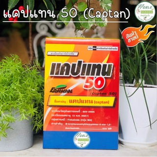 ฝน ความชื้น 🌧 ต้อง แคปแทน 1 กิโลกรัม แคปแทน 50 (Captan) ยากันรา แคคตัส แคปทาไซค์ 50 - Captacide สารป้องกันกำจัดโรคพืช