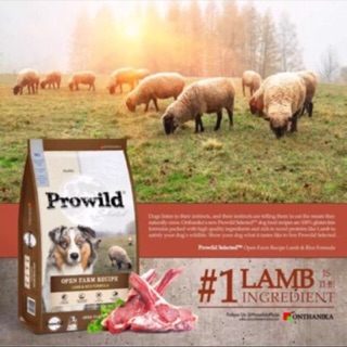 Prowild Lamp&amp;Rice 15kg อาหารสุนัขสำหรับทุกสายพันธุ์