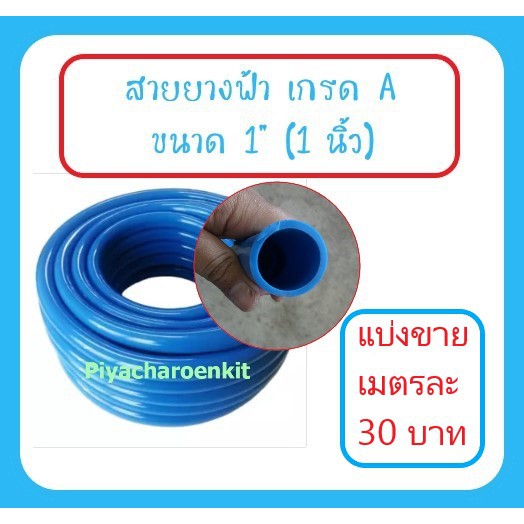 My Image 21