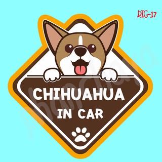 สติ๊กเกอร์ติดรถยนต์ DIC17 สติ๊กเกอร์ ติดรถ Chihuahua Dog In Car สติ๊กเกอร์ติดรถ แต่งรถ car sticker