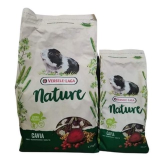 Cavia nature อาหารแกสบี้