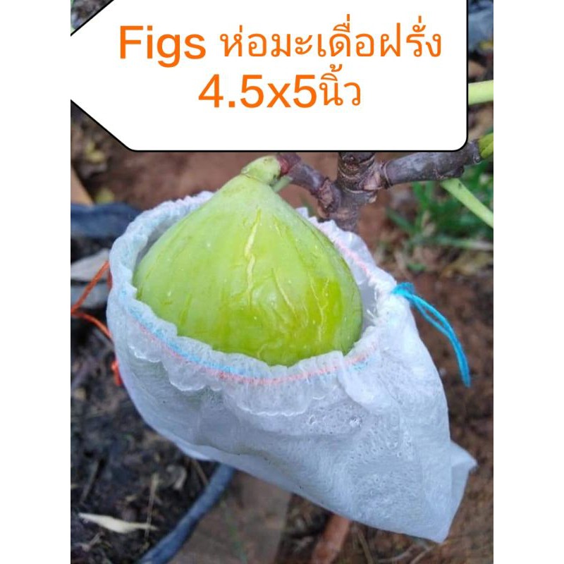 ถุงห่อมะเดื่อฝรั่ง (1ชุด20ใบ) ถุงห่อผลไม้ กันแมลง ถุงผ้าห่อมะเดื่อ #ถุงห่อผลไม้ #Figs