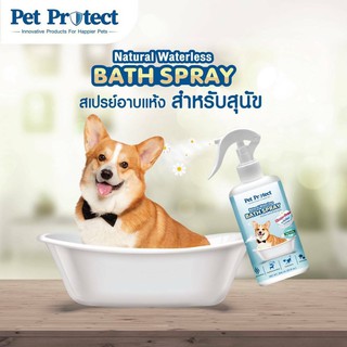 สะปรย์อาบแห้งมีกลิ่นหอม สเปร์ย์อาบน้ำแห้งสำหรับสุนัข ปริมาณ300 ml