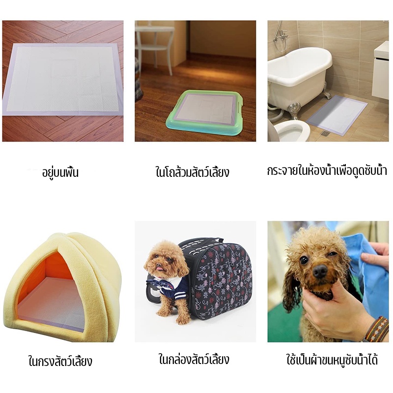 AimayaPet แผ่นรองฉี่สุนัข 100pcs แมว แผ่นรองฉี่สัตว์เลี้ยง ช่วยฝึกขับถ่าย ระงับกลิ่น ซึมซับได้ดี