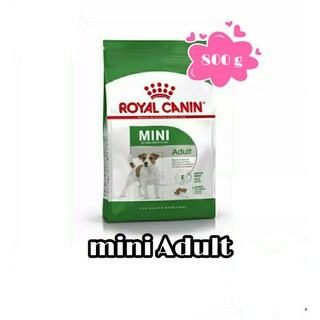 Royal Canin Mini Adult 800 g อาหารสุนัขโต ขนาดเล็ก อายุ 10 เดือน – 8 ปี