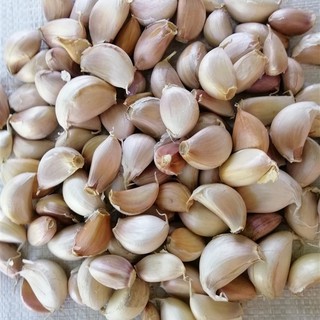 กระเทียม กระเทียมโทน กระเทียมไทย กระเทียมกลีบใหญ่ ขนาดบรรจุ 800 กรัม Thai Garlic Large Cloves of Garlic 800 g.