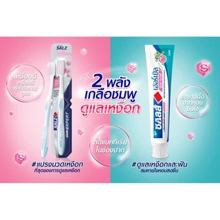 SALZ แปรงสีฟัน ซอลส์ Gum Expert (แพ็ค 3 ด้าม)