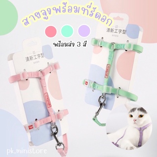 พร้อมส่ง 💓 สายรัดอกพร้อมสายจูง สายรัดอก สายจูง ปรับขนาดได้ สายนิ่มไม่บาด สายจูงสุนัข สายจูบแมว สายจูง สายรัดอก