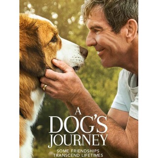 หมา เป้าหมาย และเด็กชายของผม ภาค 2 A Dogs Journey : 2019 #หนังฝรั่ง (ดูพากย์ไทยได้-ซับไทยได้)