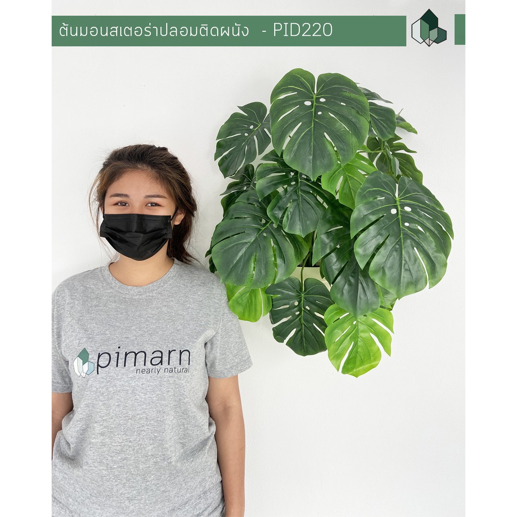 ต้นไม้ปลอมพร้อมกระถาง ต้นมอนสเตอร่าปลอม สูง 70 CM กระถางสีขาว พร้อมส่ง [ออกใบกำกับภาษีได้ ]