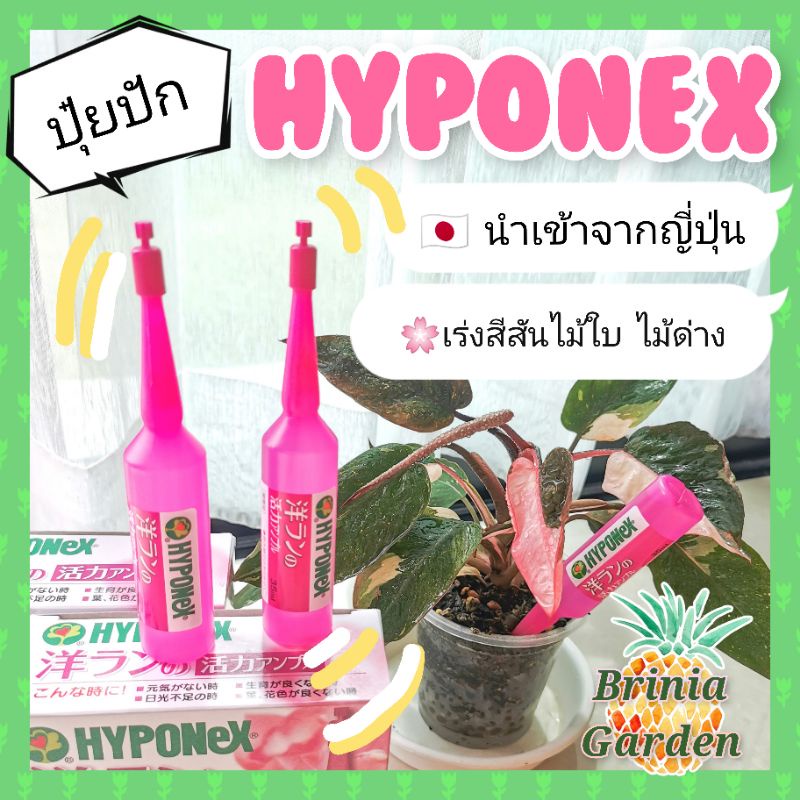 ☘️พร้อมส่ง☘️​ Hyponex Ampoule (แอมเพิล)​ ปุ๋ยปัก​ แบบ​หลอด​ นำเข้าจากญี่ปุ่น​ 🇯🇵