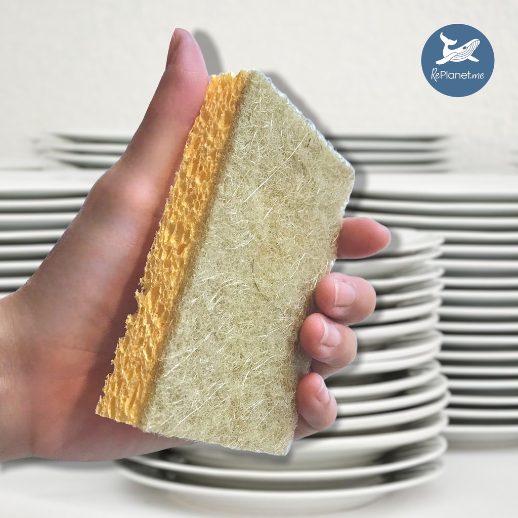 REPLANET.me ฟองน้ำล้างจานรักษ์โลก ทำจากเยื่อฝ้ายและใยมะพร้าว || Natural Cleaning Sponge