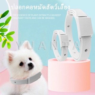 [A678] ปลอกคอกันเห็บ หมัด  **ในซองพลาสติก**  ปลอกคอแมว ปลอกคอหมา  Pet insect repellent collar