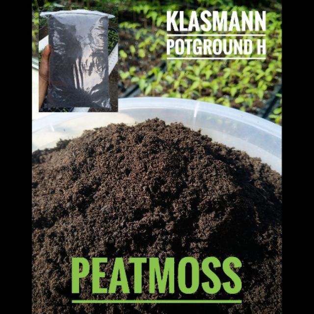 พีทมอส Peat moss Klasmann Potground H วัสดุปลูกคุณภาพสูง จากยุโรป ถุงละ 4 ลิตร แคสตัส กระบองเพชร