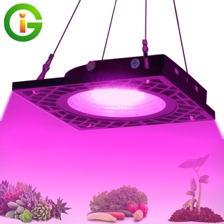 AC220v 500W LED Grow Light Spectrum พืชกันน้ำเต็มรูปแบบ Grow Light Phyto Lamp สำหรับไฟเมล็ดเรือนกระจกในร่ม