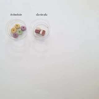 [HiHamster]ขนมทดลอง อาหาร แฮมสเตอร์ ขนมสัตว์เลี้ยง เม่นแคระ แฟตเทล