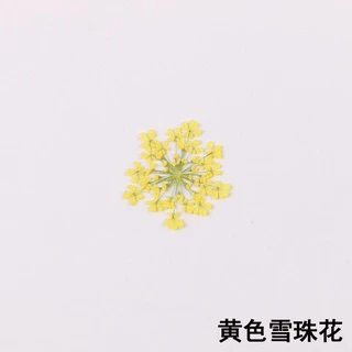 100 ชิ้นลูกปัดหิมะดอกไม้ดอกไม้แห้งนูน DIY ที่คั่นหนังสือ