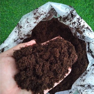 พีทมอส (Peat moss) 2.75 กก./ถุง