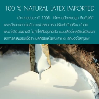 LUCKY mattress หมอนหนุนยางพารา Natural Latex Pillow