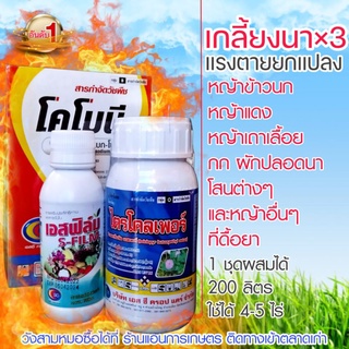 ฆ่าหญ้าในนาข้าว ชุดเกลี้ยงนา×3 ฆ่าหญ้าได้หลายชนิดเกินคาด กล้าท้าให้ลอง