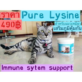 ไลซีนแมว Pure Lysine powder ไลซีนผง cat lysine วิตามินแมว กระตุ้นภูมิต้านทาน 250 กรัม