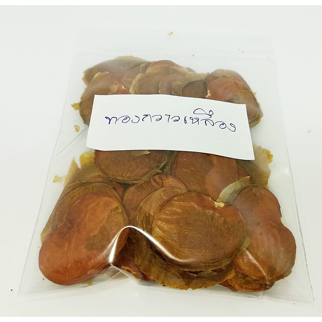 ลดราคาถูกพิเศษ เมล็ดพันธุ์ทองกวาวสีเหลือง Bastard teak ดอกจานเหลือง จาน พันธุ์ไม้พระราชทาน ไม้ล้อม ไ