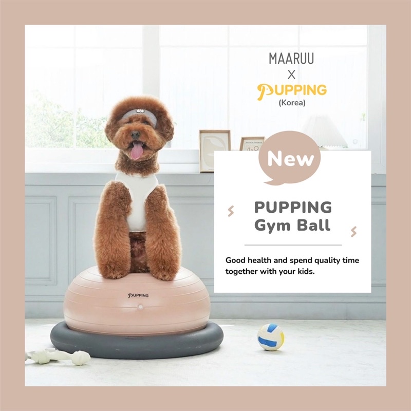 Pupping Gymball 🇰🇷 ( Dog balancing ball ) ( ลูกบอลโดนัท สำหรับออกกำลังกายของสุนัข น้องหมา ) ( บาลานซ์บอล )