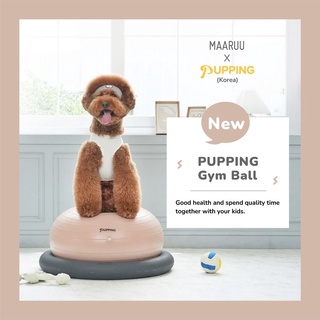 Pupping Gymball 🇰🇷 ( Dog balancing ball ) ( ลูกบอลโดนัท สำหรับออกกำลังกายของสุนัข น้องหมา ) ( บาลานซ์บอล )