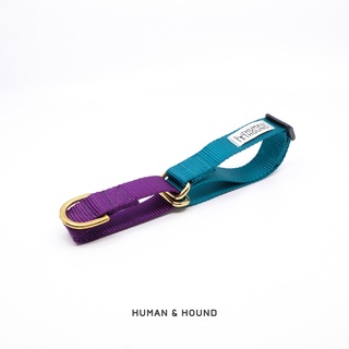 ปลอกคอสุนัข Human and  Hound - Martingale Purple/Teal ปลอกคอฝึกสุนัข