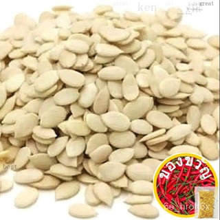 Melon seed white melon kernel mooncake florentin siebin Bienetta cookies / เค้กดวงจันทร์白瓜籽 / kuaci putih / small size m