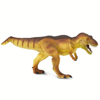 Safari Ltd. : SFR300729 โมเดลไดโนเสาร์ Tyrannosaurus Rex