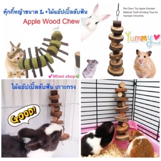 ❤️คุ๊กกี้หญ้า พร้อมไม้แอ้ปเปิ้ลแท้ 💯% ของสัตว์ฟันแทะ 🐹🐰 ป้องกันปัญหาฟันยาว 🔆