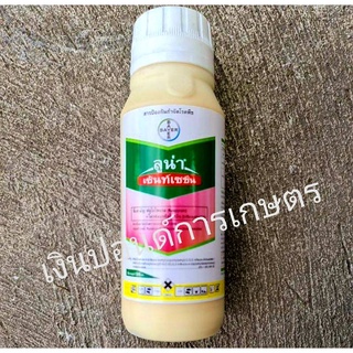 ลูน่า® เซ้นท์เซชั่น 500 มล. สารป้องกันและกำจัดโรคพืช โรคช่อดอกดำ โรคแอนแทรคโนส โรคใบจุด โรคผลเน่า โรคราแป้ง