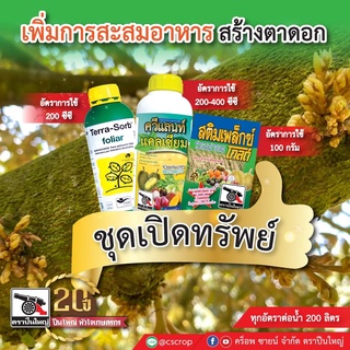 ชุดเปิดทรัพย์ เร่งสร้างตา เทอรา ซอร์บ ขนาด 1 ลิตร ควีแลนท์ แคลเซียม ขนาด 1 ลิตร  สติมเพล็กซ์ โกลด์ ขนาด 10 กรัม (10 ซอง)