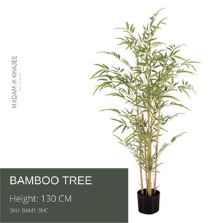 ฺBamboo Tree ต้นไผ่ 150 CM  ต้นไม้ปลอมเกรดพรีเมี่ยม มาดามขจี ตกแต่งบ้าน  Premium Artificial Plant