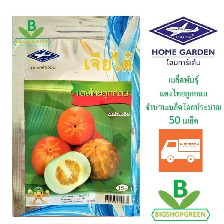 5 ฟรี 1 คละได้ เมล็ดพันธุ์ แตงไทยลูกกลม ตราเจียไต๋ เมล็ดผัก เมล็ดพันธุ์พืช เมล็ดพืช เมล็ดพันธุ์ผัก เมล็ดผักสวนครัว