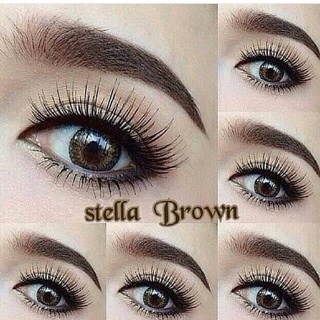 คอนเเทคเลนส์ สี Stella brown 02