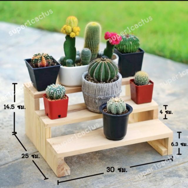 ชั้นวางต้นไม้ กระบองเพชร วางของเอนกประสงค์ (บันได3 ชั้น)