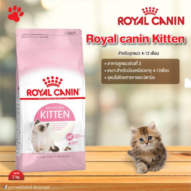 (พร้อมส่ง)​ Rayal canin Second age ลูกแมว แบ่งขาย ใส่ถุงซีลอย่างดี
