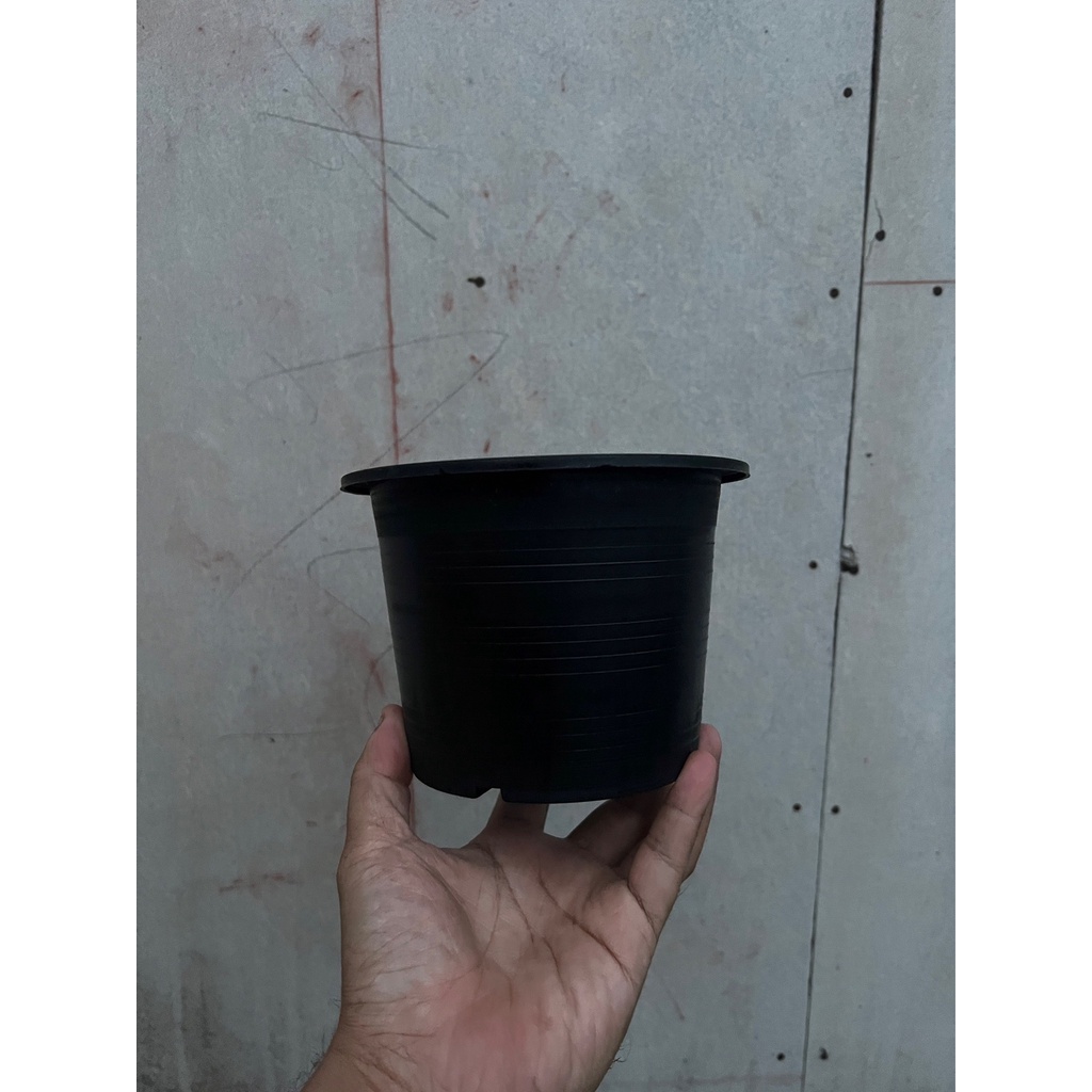 มุมมอง 3