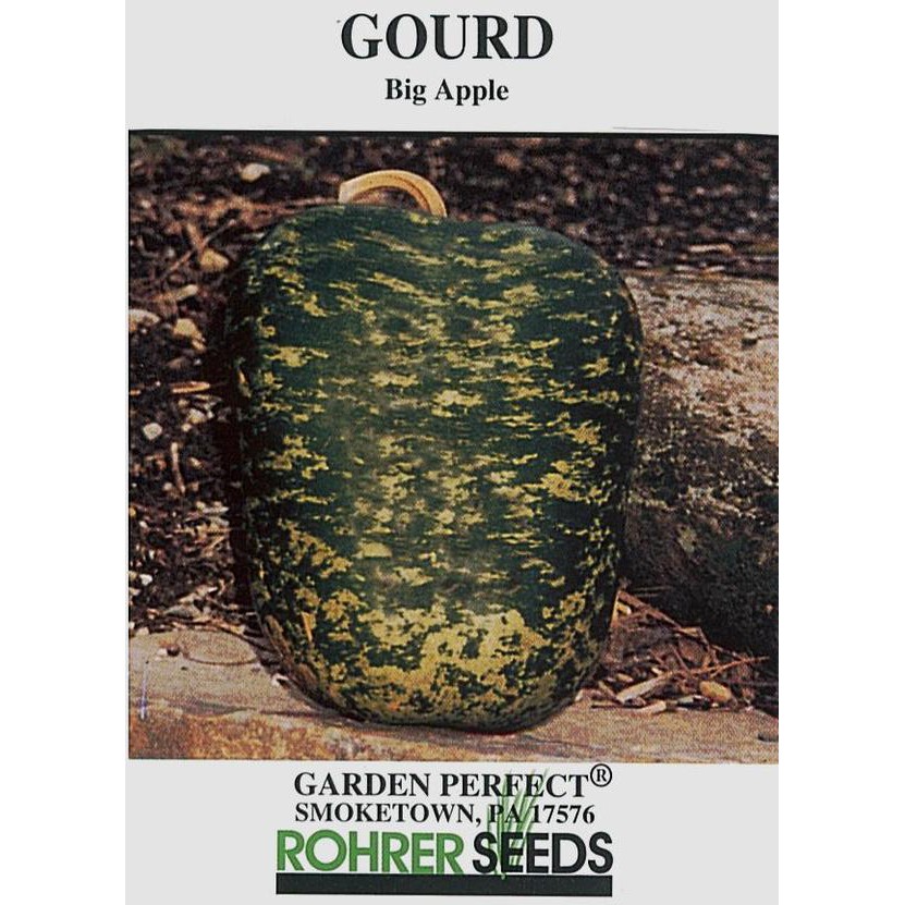 น้ำเต้าแอปเปิ้ล - Big Apple Gourd