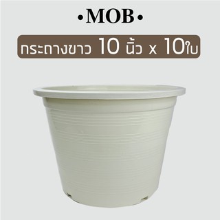 MOB กระถาง สีขาว สีครีม 10 นิ้ว x 10 ใบ กระถางขาว กระถางพลาสติก กระถางราคาถูกสำหรับปลูกต้นไม้ทั่วไป ใช้เป็นกระถางต้นไม้