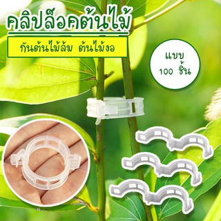 สายรัดต้นไม้ คลิปล็อคต้นไม้ คลิปพยุงต้นไม้  พลาสติกพยุงไม้เลื้อยกับเชือก กันต้นไม้ล้ม ต้นไม้งอ แบบ 100 ชิ้น No.KS086