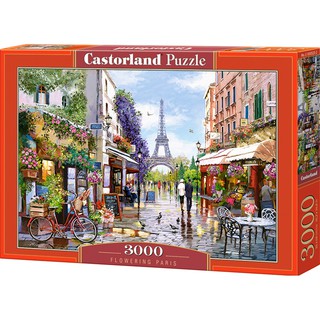 Castorland jigsaw puzzle จิ๊กซอว์ 3000 ชิ้น