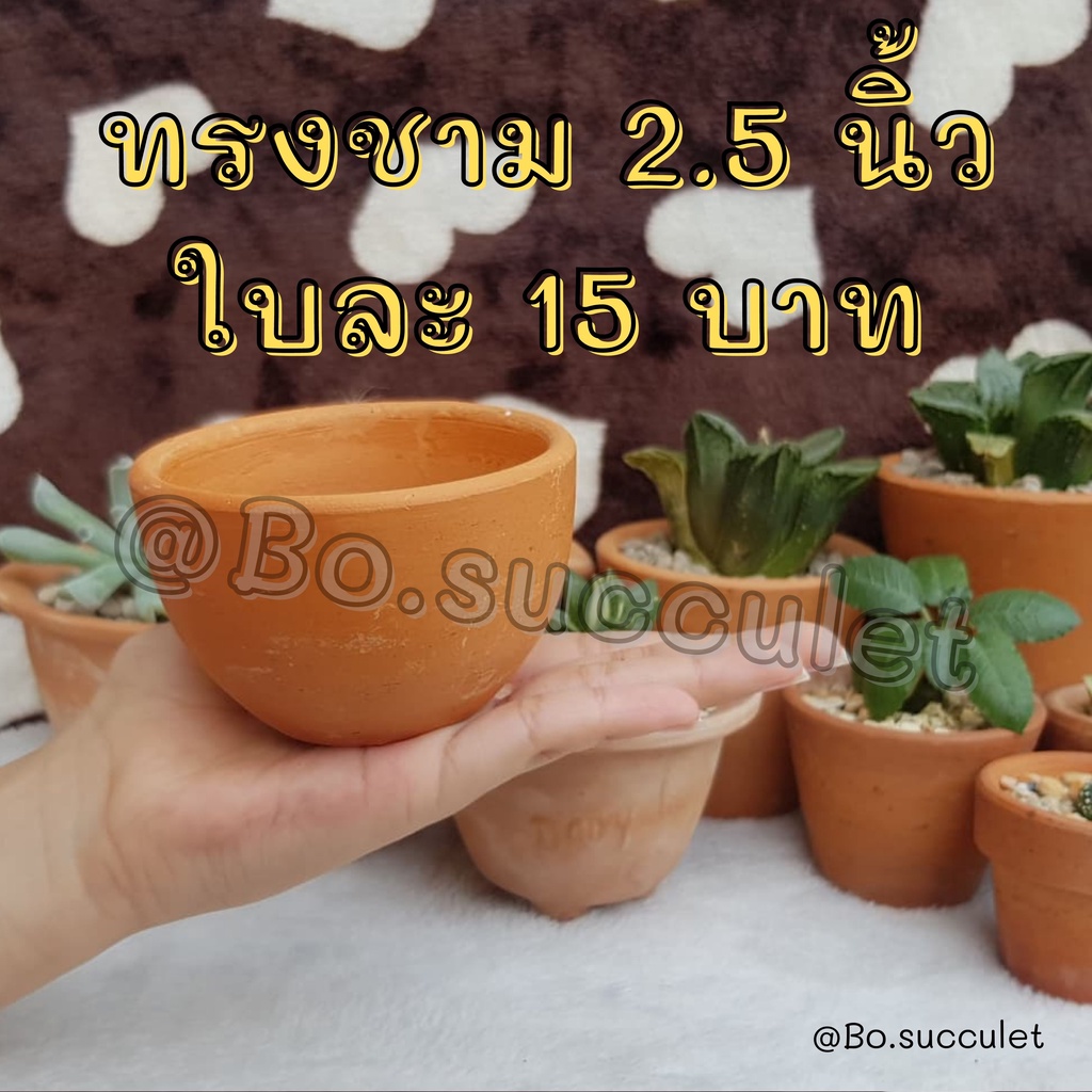 กระถางดินเผา ทรงชาม 2.5 นิ้ว ไม้อวบน้ำแคคตัส ปลูกฮาโวเทีย  ใส่ต้นไม้จิ๋วเล็ก เครื่องปั้นดินเผา ของแต่งบ้าน จัดสวน