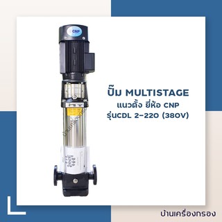 [บ้านเครื่องกรอง] ปั๊ม MULTISTAGE แนวตั้ง ยี่ห้อ CNP รุ่นCDL 2-220 (380 V)