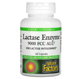 เอนไซม์ย่อยนม ย่อยเวย์โปรตีน Natural Factors, Lactase Enzyme, 9,000 FCC ALU, 60 Capsules